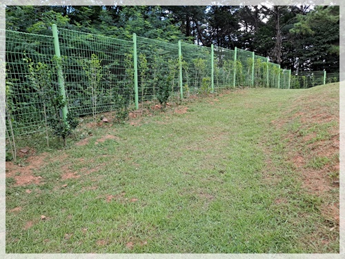 산소119 PC 이미지 5173708