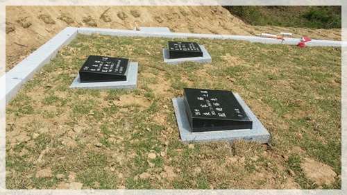 산소119 PC 이미지 5173709