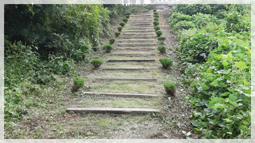 산소119 PC 이미지 5173699