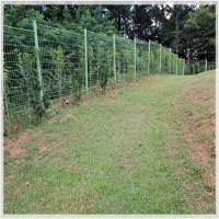 경기묘지이장-5173708