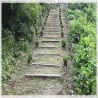 경기묘지이장-5173699